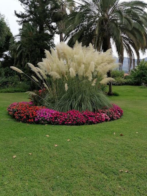 Imperial Palace Bord De Mer 芒通 外观 照片